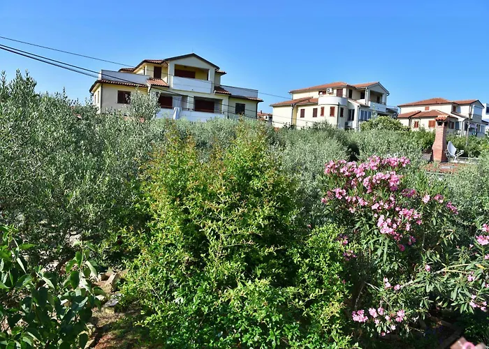 Vretenar Novigrad Istria