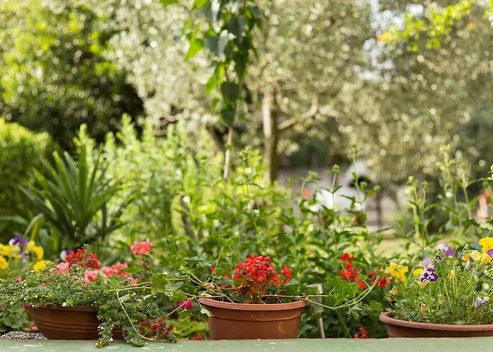 Διαμέρισμα Vretenar Novigrad Istria