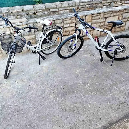 Vretenar Daire Novigrad Istria