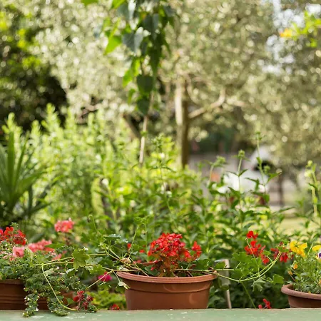 Apartmán Vretenar Novigrad Istria