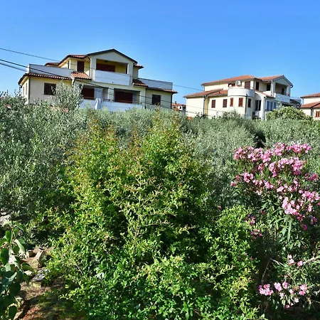 Vretenar Novigrad Istria